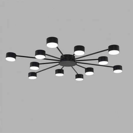 Потолочная люстра Lumion TORINA 8344/12C