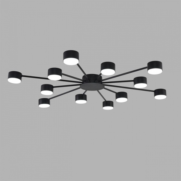 Потолочная люстра Lumion TORINA 8344/12C