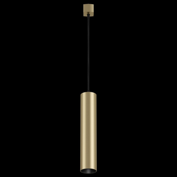 Подвесной светильник Maytoni Technical Фокус TR025-1-GU10-MG