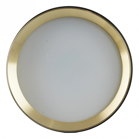 Накладной светильник Feron  52021