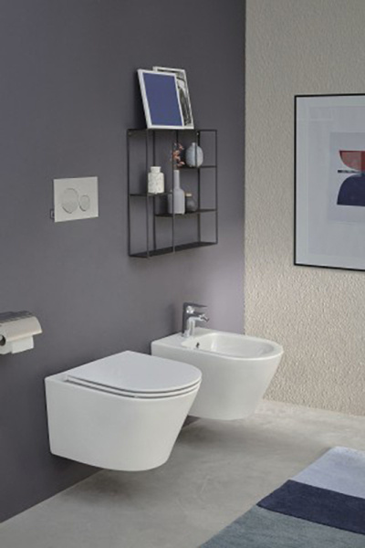 Напольное биде Jacob Delafon Rodin+ EMJ0002-00