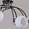 Потолочная люстра ILLUMICO  IL0250-8CSQ-79 BK AB