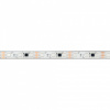 Лента светодиодная Arlight PFS 039177