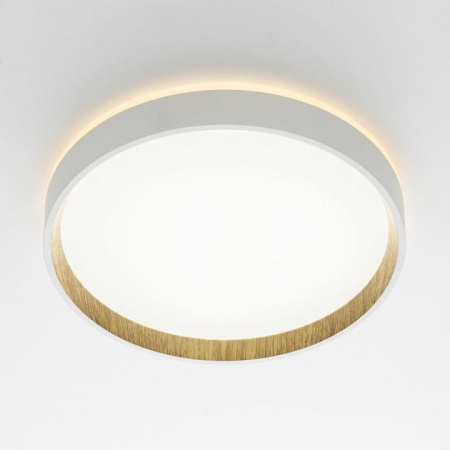 Накладной светильник Citilux Etalon CL750240