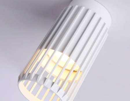 Накладной светильник Ambrella Light TN TN51672