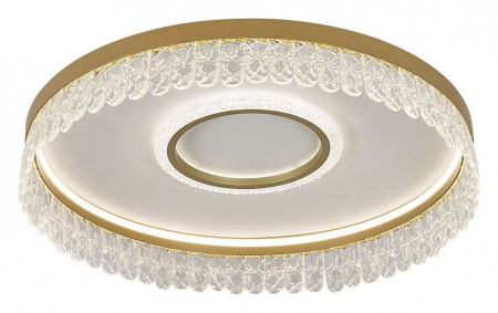 Накладной светильник Favourite Lunetta 4186-2C