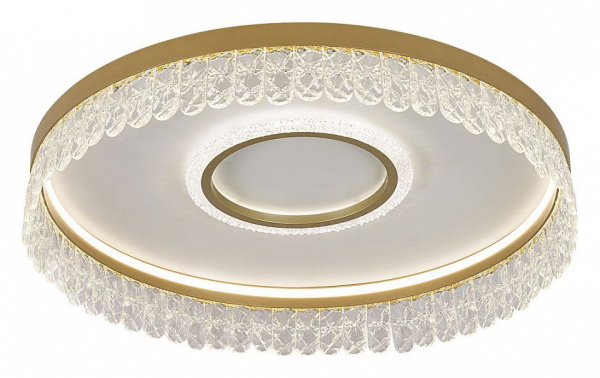 Накладной светильник Favourite Lunetta 4186-2C