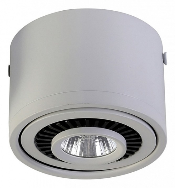 Накладной светильник Favourite Reflector 1775-1C