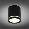 Накладной светильник Omnilux Capurso OML-102439-05