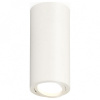 Накладной светильник Ambrella Light XS XS7442001