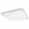 Накладной светильник Lightstar Arco 226262