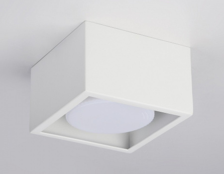 Накладной светильник Ambrella Light TN TN70825