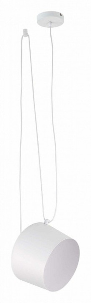 Подвесной светильник EVOLUCE Trieste SLE120653-01