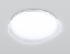 Накладной светильник Ambrella Light ORBITAL FZ1601