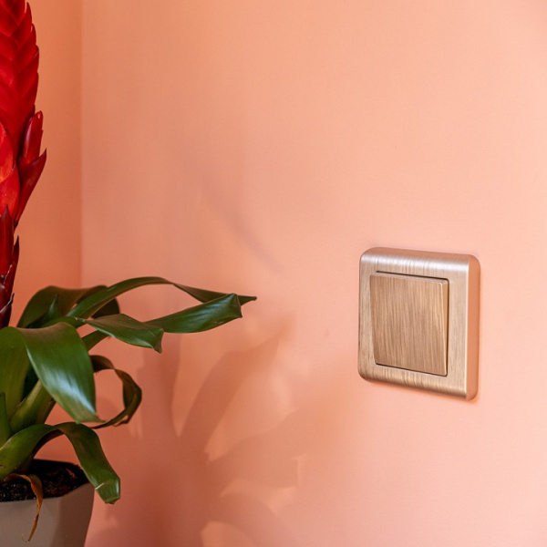 Выключатель проходной одноклавишный без рамки Werkel шампань рифленый W1112010