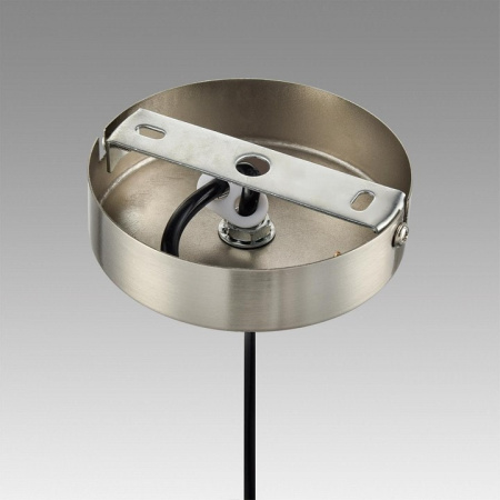 Подвесной светильник Lumion Ilaida 8039/1