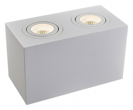 Накладной светильник Maytoni Atom C017CL-02W