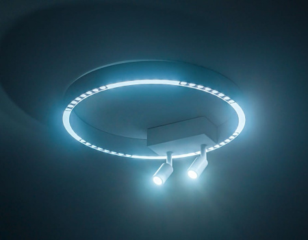 Накладной светильник Ambrella Light FL FL5805
