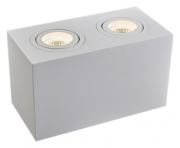 Накладной светильник Maytoni Atom C017CL-02W