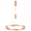 Подвесной светильник Ambrella Light FL FL5846