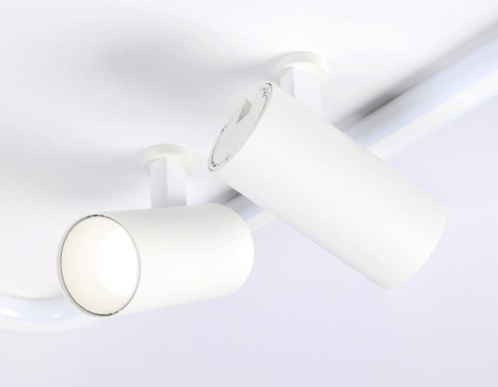 Накладной светильник Ambrella Light FL FL5114