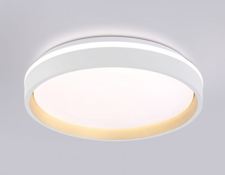 Накладной светильник Ambrella Light FZ FZ601