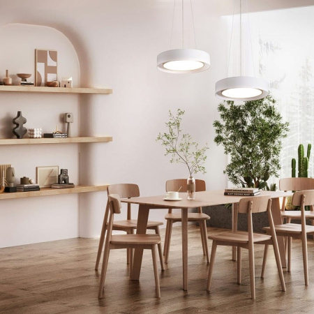 Накладной светильник Freya Уют FR6170CL-L52BS