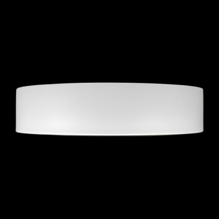 Накладной светильник Loft it Coin 10202 WB