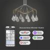 Подвесная люстра Eurosvet  201002/12 латунь Smart