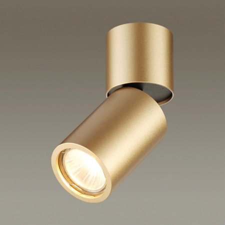 Накладной светильник Odeon Light Duetta 3895/1C
