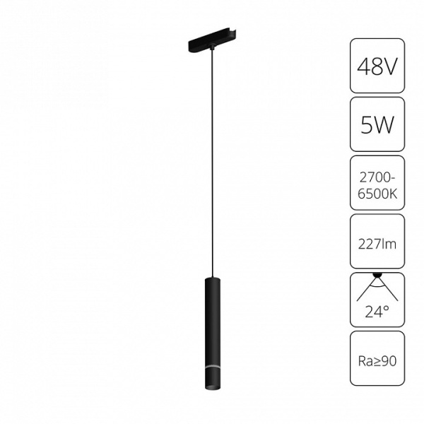Подвесной светильник Arte Lamp Rapid A2959PL-1BK