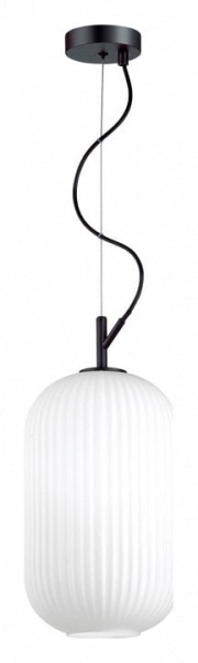 Подвесной светильник Odeon Light Roofi 4751/1