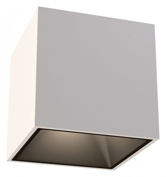 Накладной светильник Maytoni Technical Альфа C065CL-L12W3K-D