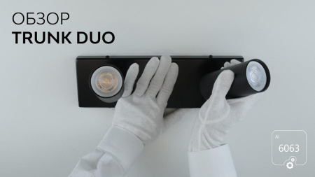 Спот 6063 Trunk Duo 1030801