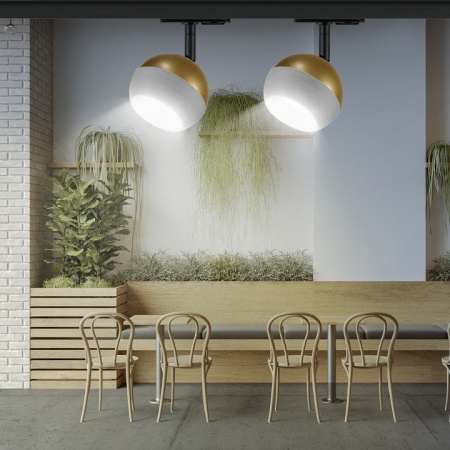 Светильник на штанге Эра TR46 GX53 MG