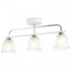 Светильник на штанге Ambrella Light TR TR303233