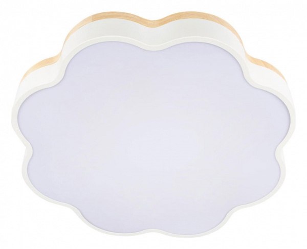 Накладной светильник Loft it Axel 10225/36 White