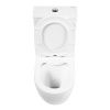 Унитаз-компакт безободковый BelBagno AMANDA BB051CPR