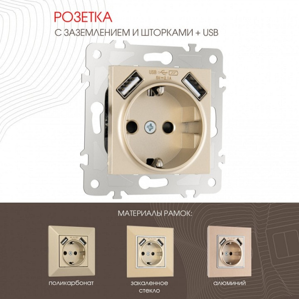 Розетка с заземлением и со шторкой и 2хUSB без рамки Arte Milano am-203 203.47-1.shampan