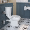 Чаша напольного унитаза BelBagno Boheme BB115CPR