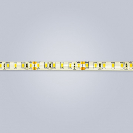 Лента светодиодная Eleganz LUX EL-24V65-96WW
