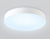 Накладной светильник Ambrella Light ORBITAL FZ1355