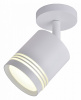 Спот Favourite Darar 3065-1U