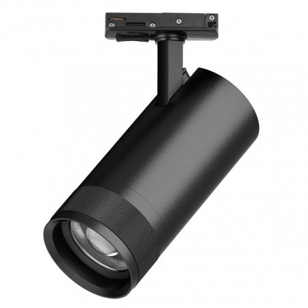 Светильник на штанге Lightstar Canno Pro C4307SS