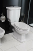 Чаша напольного унитаза BelBagno Boheme BB115CPR