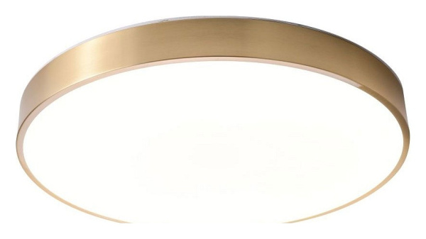 Накладной светильник Zortes Monna ZRS.1209.12