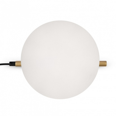 Настольная лампа декоративная Freya Blossom FR5259TL-01BS