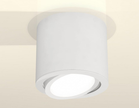 Накладной светильник Ambrella Light XS XS7401001