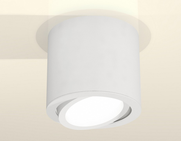 Накладной светильник Ambrella Light XS XS7401001