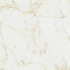 Coliseum Canova Керамогранит White 60x60 натуральный